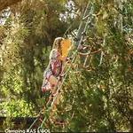Camping Ras L'bol Olmeto (Corsica)