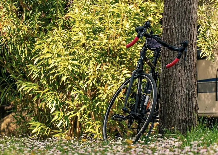 Kamp alanı Ras L'bol *